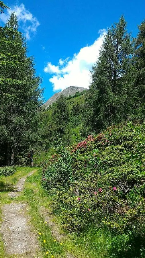 Appartamento Balcone sulle Dolomiti Comèlico Superiore